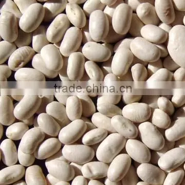 Medium white kidney beans