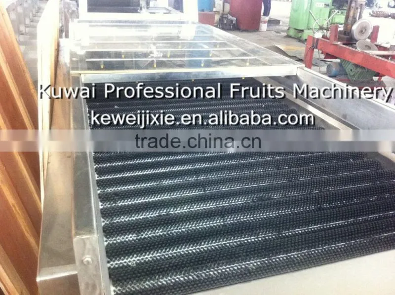1 ton MSJ-1 Model brush cleaner(Industrial apple washer)