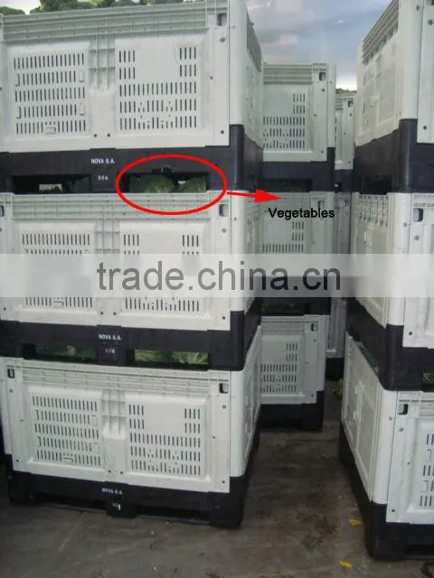 Warehouse Logistic Plastic Pallet Box Container