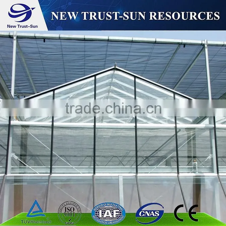 Polycarbonate/PC multi-span agricultural greenhouse