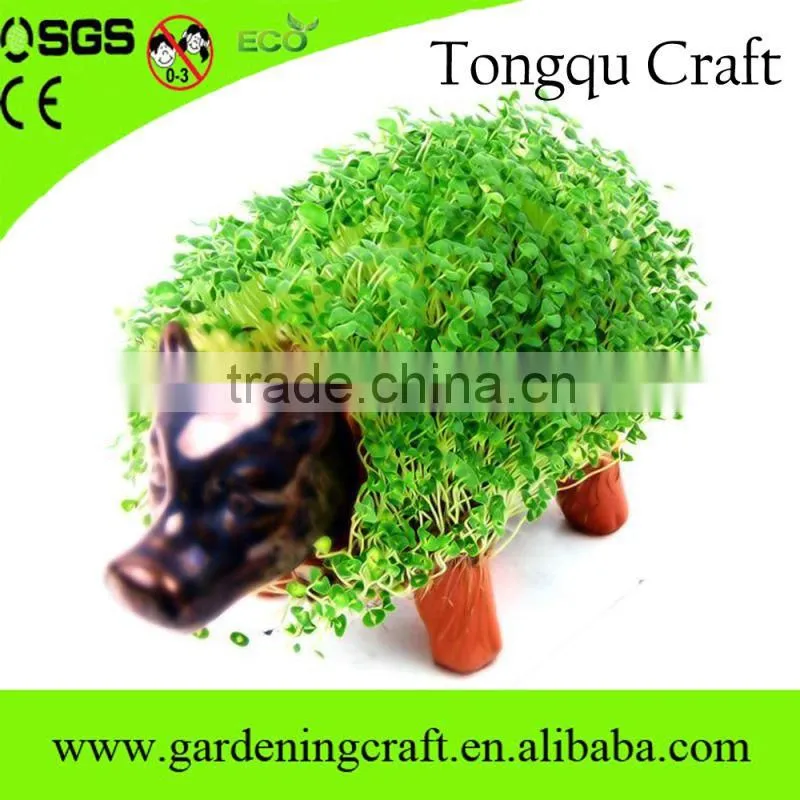 pormo gifts usb chia pet gifts for newly married couple wedding thank you gifts for guests