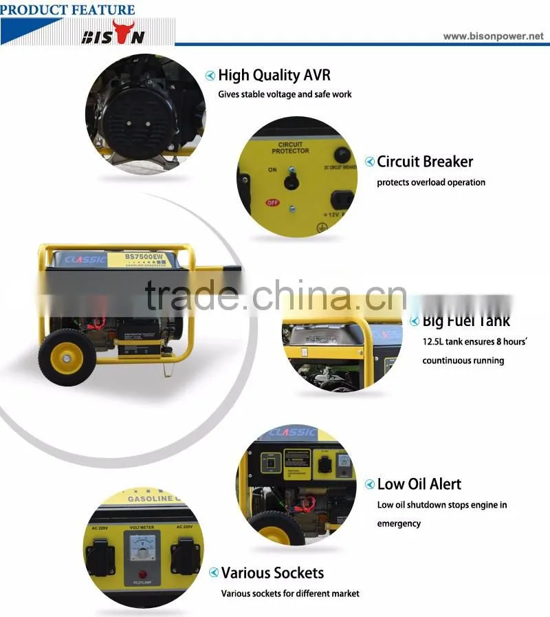 Bison China Taizhou OEM Factory All Kinds of LPG Gas Generator