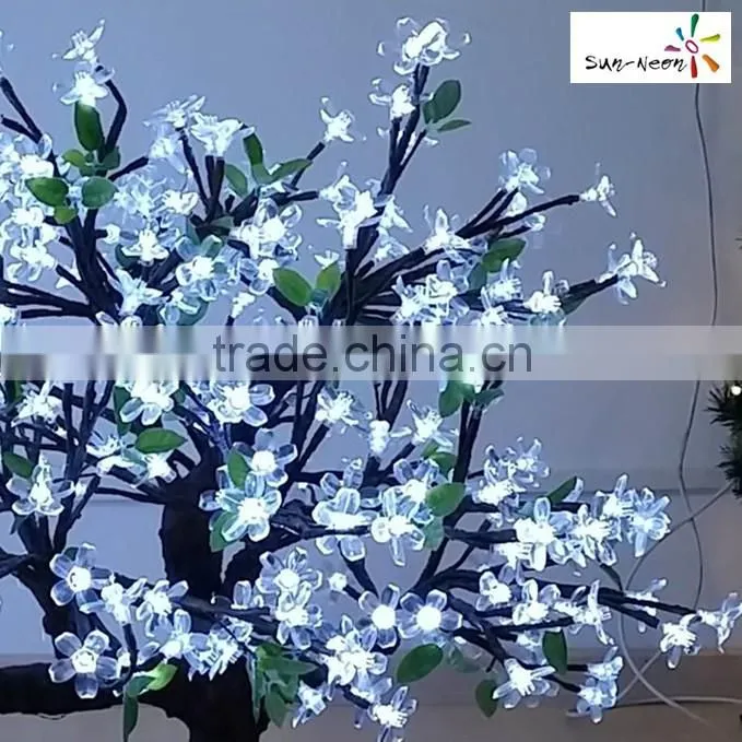 Hot sale mini cherry blossom tree cheap cherry blossom bonsai tree with high quality bonsai tree sale