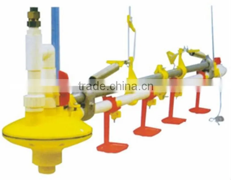 full automatic equipment chicken house for broilers