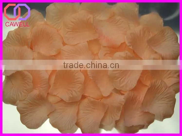 preserved natural rose petals