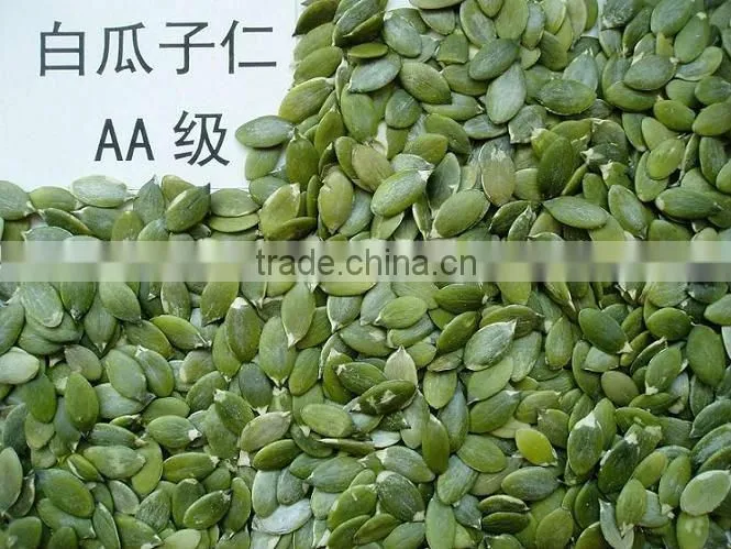 roasted pumpkin seeds kernels