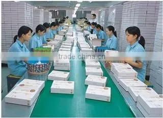 Shenzhen Grand Inpak Packaging Limited company overview - view 3