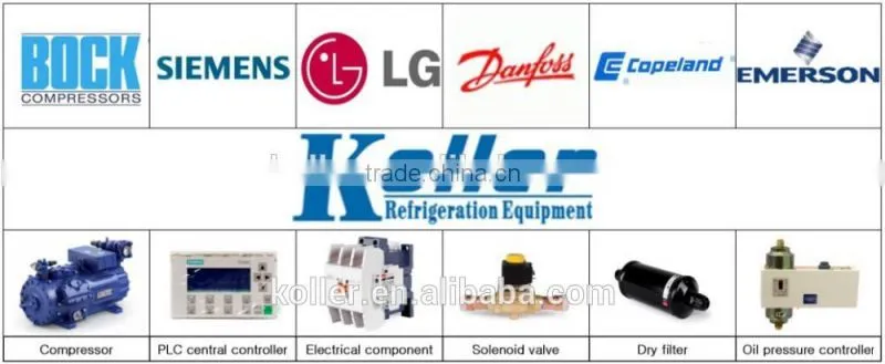 Alibaba Plate Ice Maker Machine with Ice Crusher System From China