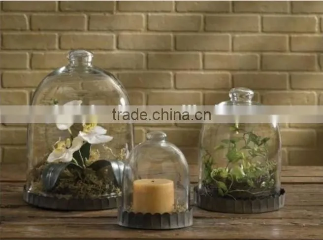 Wholesale glass bell cloche and glass cloches as glass dome with wooden base