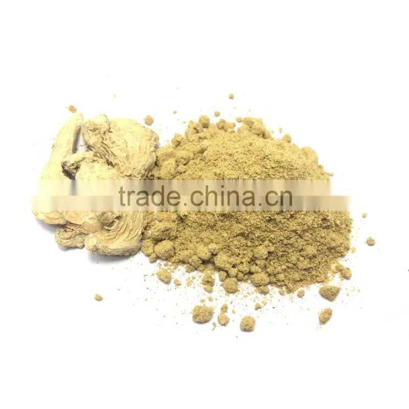 Wholesale Grade A Dried Ginger Powder
