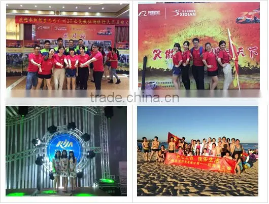 2015 Christmas Decorations outdoor laser light show projector best price disco laser light
