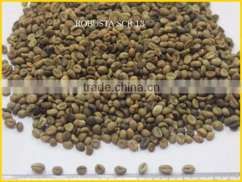 ROBUSTA COFFEE/ROBUSTA COFFEE FROM VIETNAM BEST PRICE SEASON 2016
