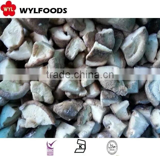 market price frozen pleurotus eryngii
