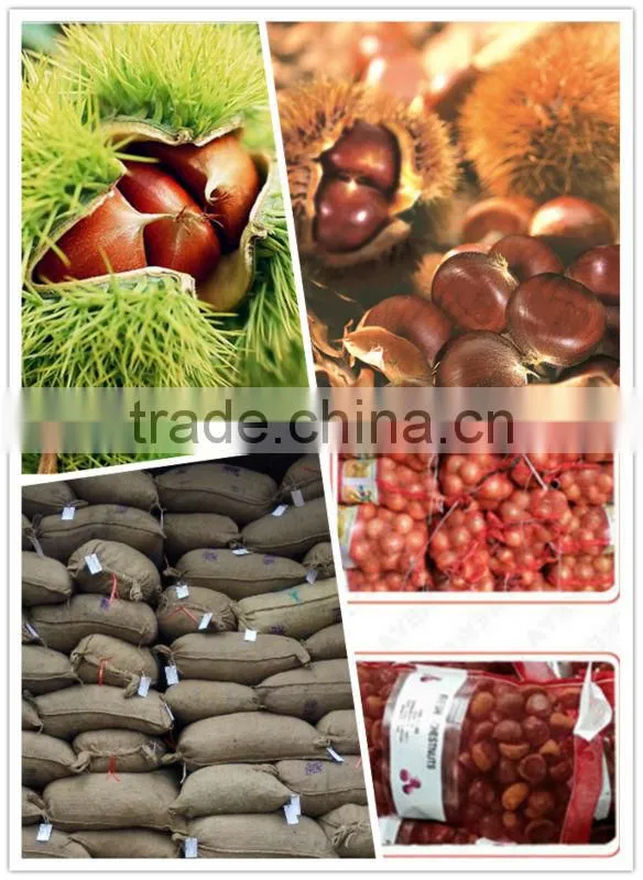 Organic chestnuts