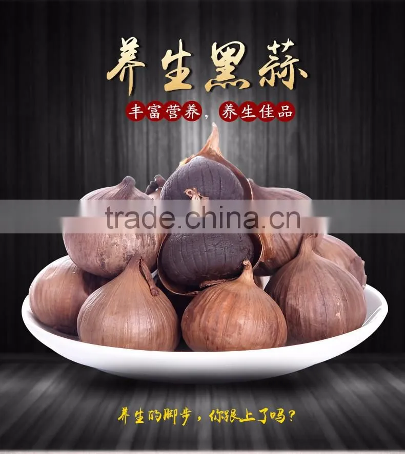 high quality black garlic wiht healthy benefit