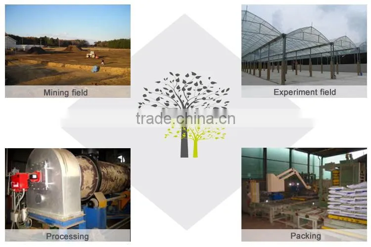 Expanded Vermiculite for Agriculture Growing Medium