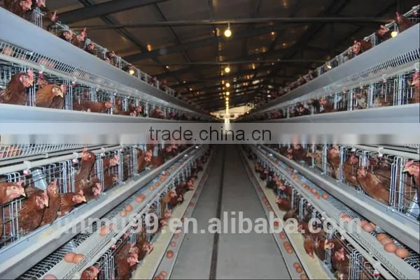 High quality galvanised steel wire layer chicken cage for sale