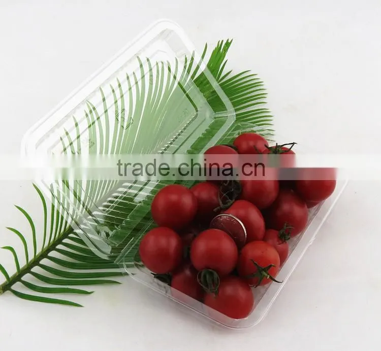 disposable cookies plastic container
