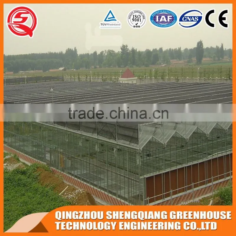 Glass greenhouse with the system you need made in China