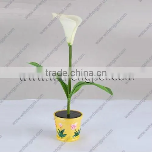 solar rose light