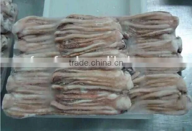 Frozen Illex Squid Tentacle