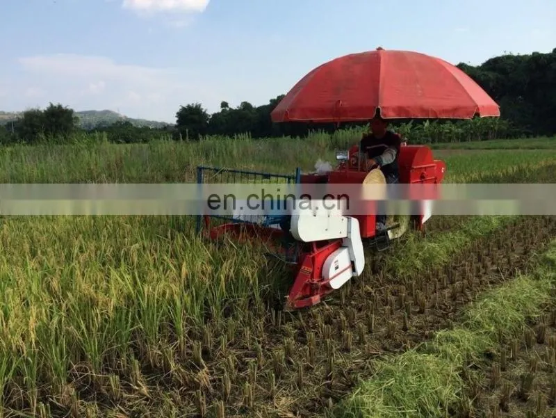 Factory price mini rice paddy cutting machine / rice harvest machine / price of rice harvester