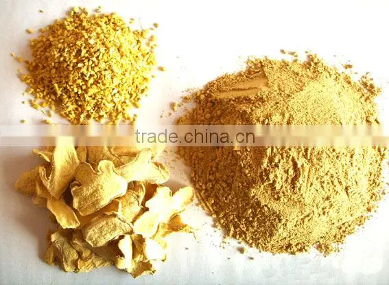 Good price Yellow Frozen Ginger Root