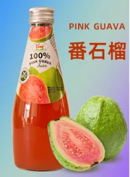 Mangosteen Juice Processing Machine Line