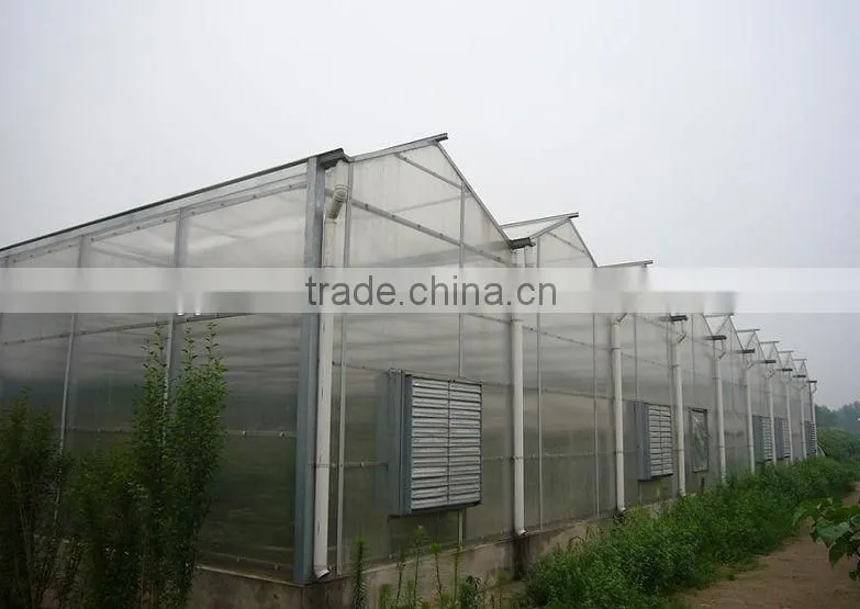 multi span polycarbonate china greenhouses
