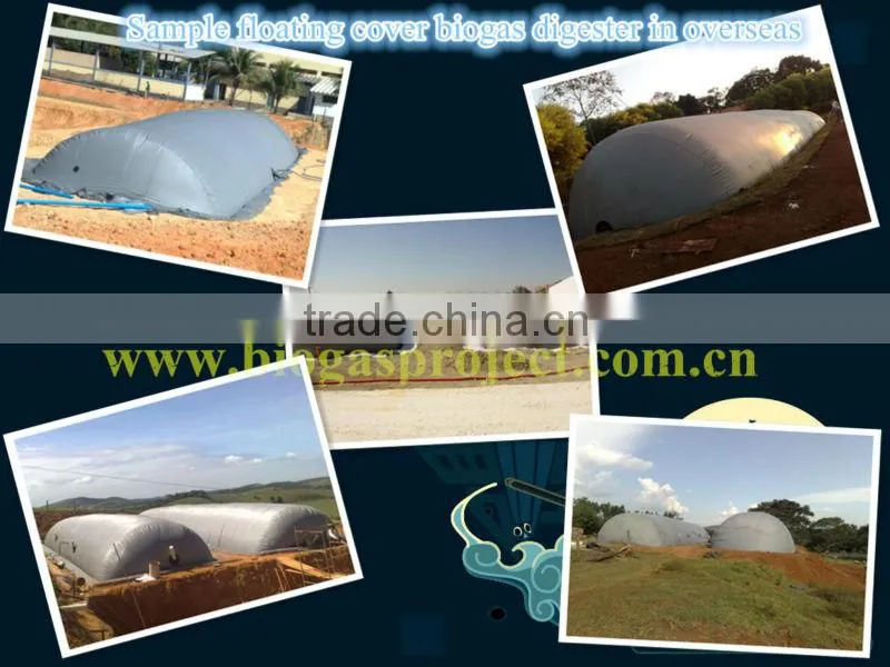 industrial biogas digester