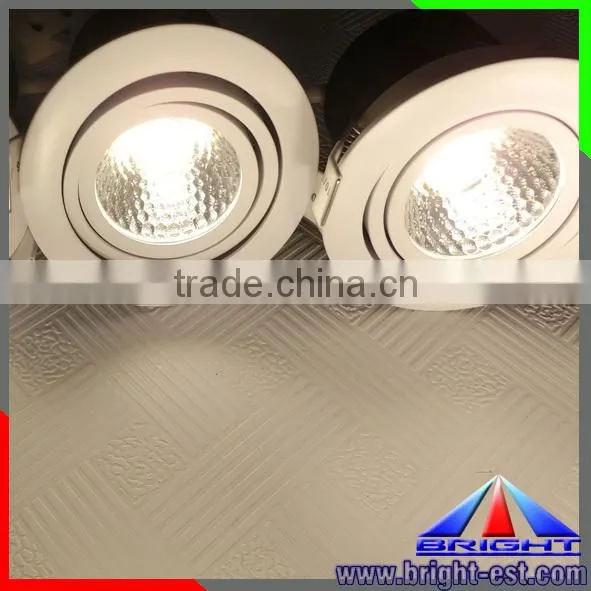 warm white Cob Led Downlight,adjustable directde to you
