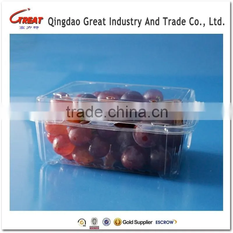 Disposable Clear Plastic Clamshell Containers for Fruit