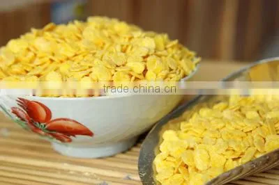Kellogs Corn Flakes productiong plant