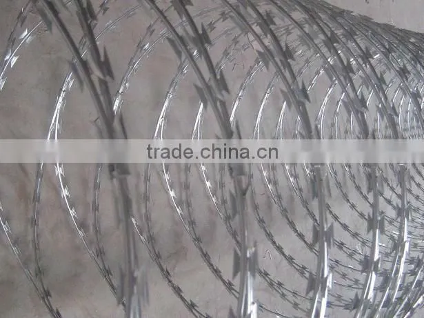 galvanized barbed razor wire mesh