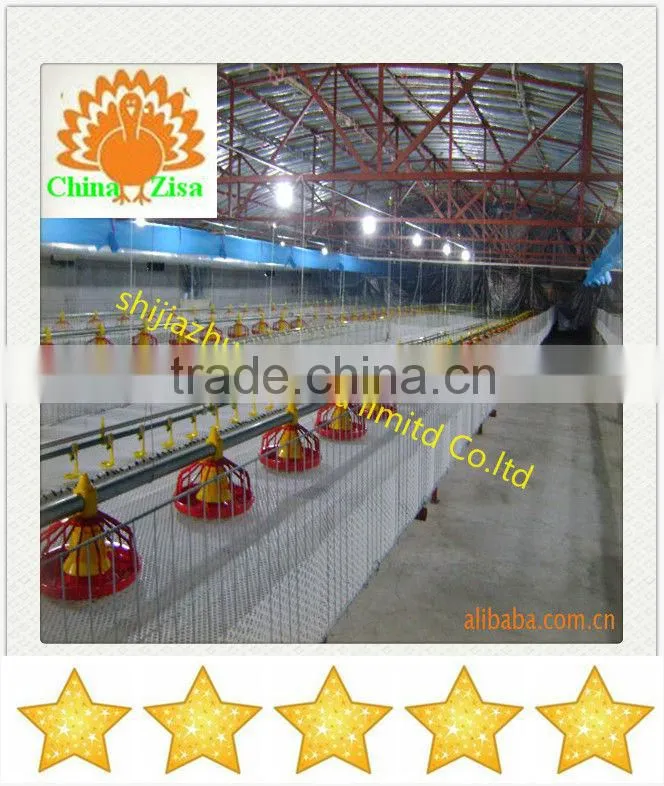 plastic chicken feeders