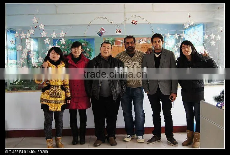 Distillation of Waste Oil Recycling Plant/Oil Purification Machine/Black Oil Recycling Refinery