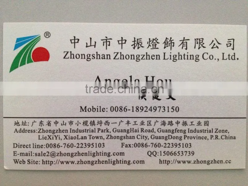 large outdoor LED Christmas Lights