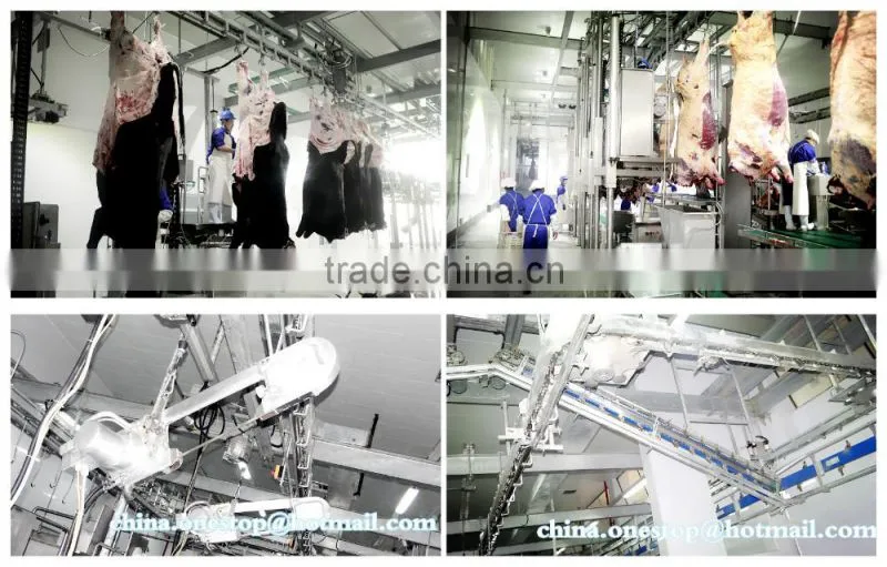 Abattoir Machine Cattle Slaughtering Equipment Halal Slaughterhouse for Cow Goat Sheep