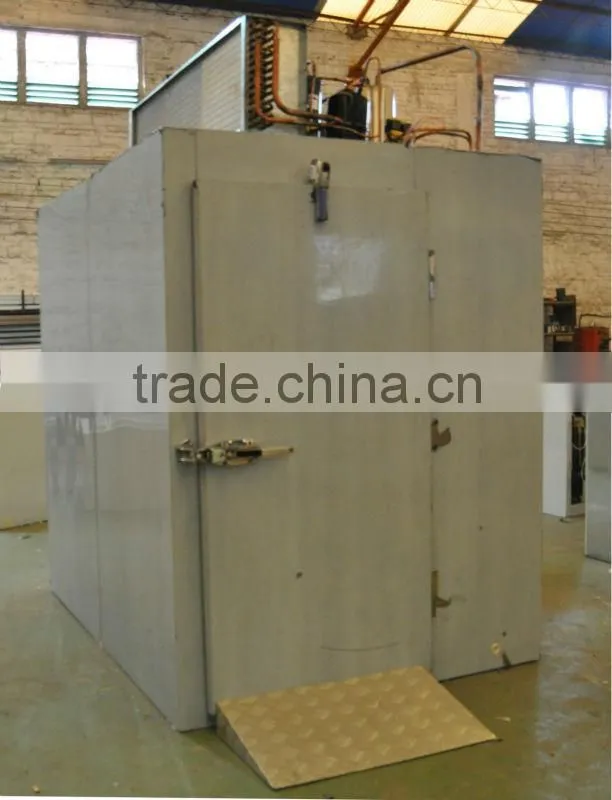 Stainless steel food blast freezer with 2-trolley