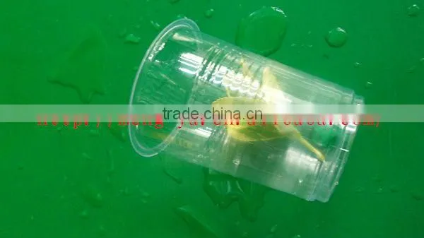12oz disposable plastic beverage cup