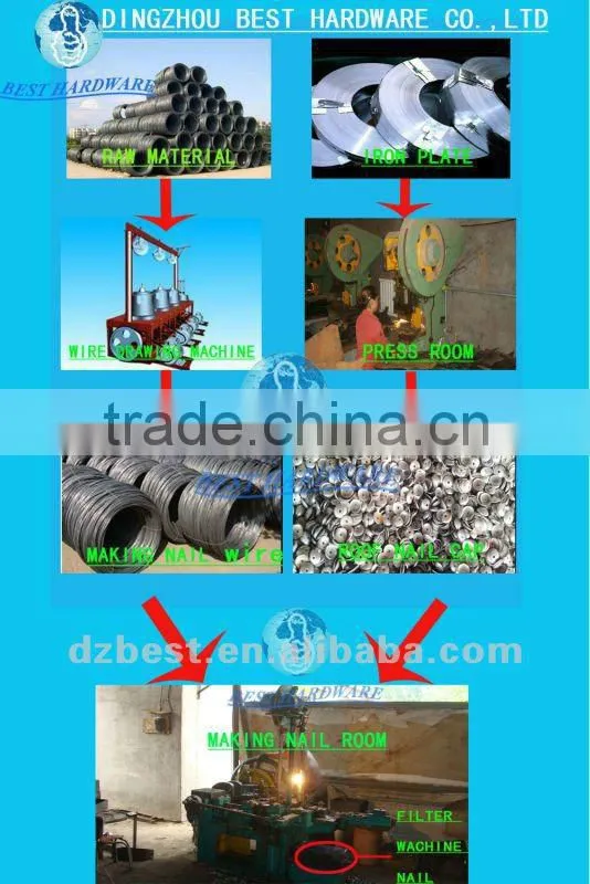 9bwg straight umbrella head galvanized roofing nails