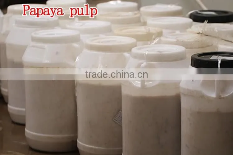 100% natural High quality factory supply papaya powder in Dried Fruit