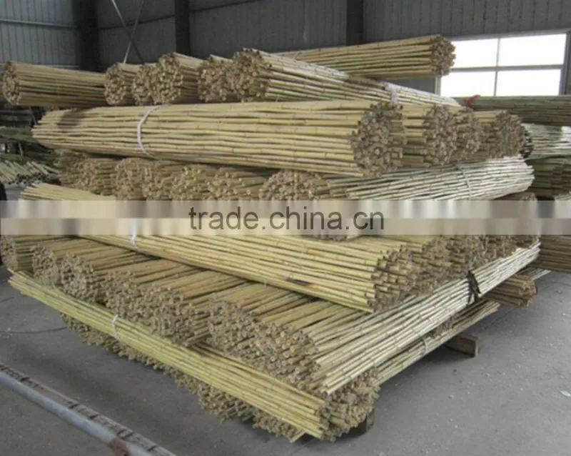 Bamboo poles and Bamboo bent pole