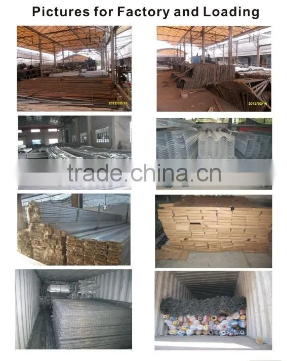 Single span roof vent tropical climate greenhouse