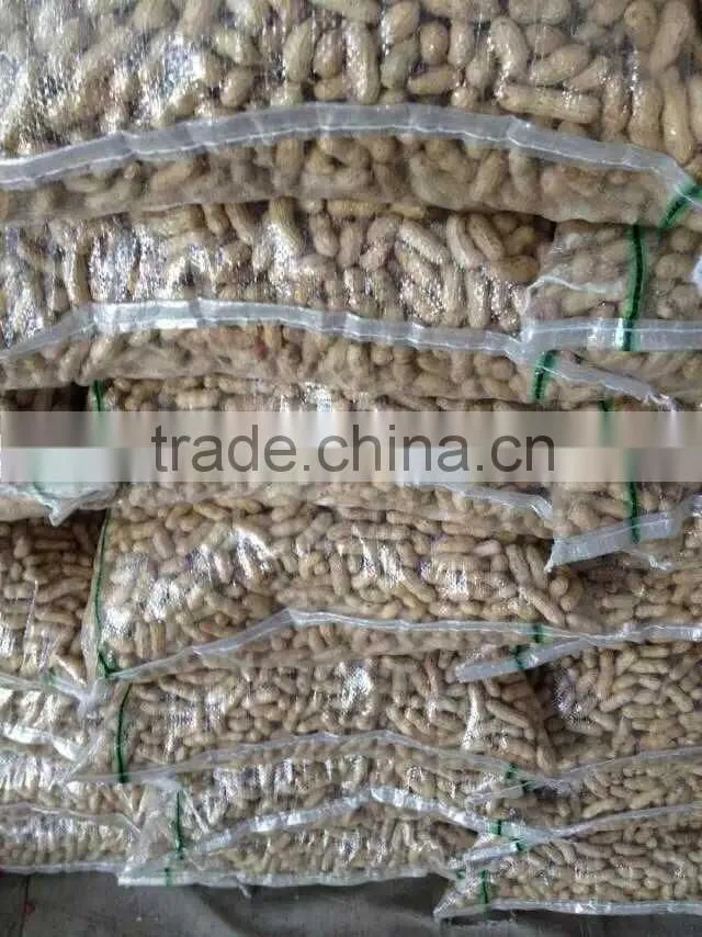 red skin peanuts in shell 50/60 40/50 , EU standard