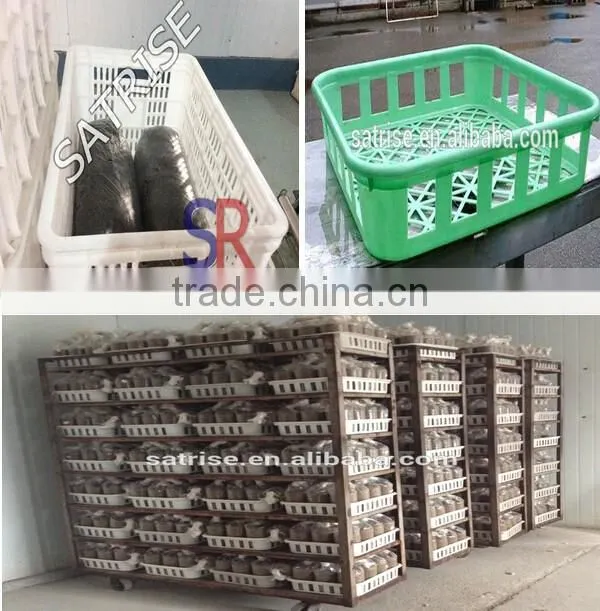 2016 Mushroom Cultivation plastic moving crate sale For Bags