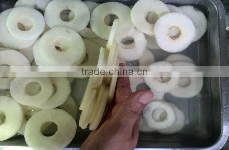apple disc cutting machine