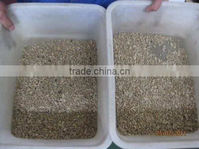 Jiexun intelligent sunflower seeds sorting machine