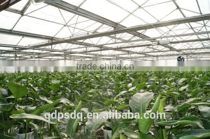 Shandong High quality Hanging type Air circulation exhaust cooling Fan for butterfly orchid planting
