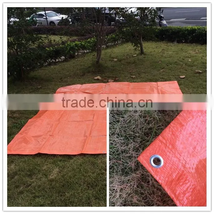 PP coated polyester plastic fireproof tarpaulin